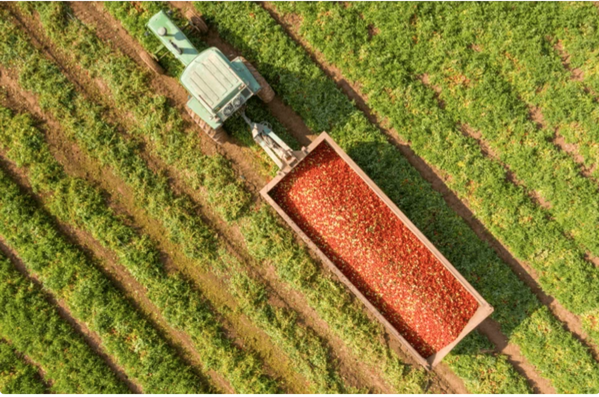 capture d’écran 2025 11 26 à 16.32.28