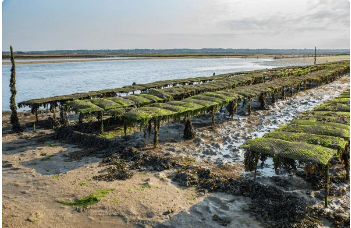 capture d’écran 2025 11 26 à 16.33.12