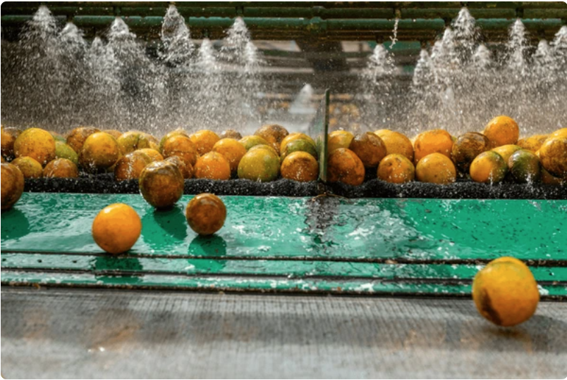 capture d’écran 2025 11 26 à 16.33.51